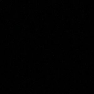 Meet your Posher, Billy